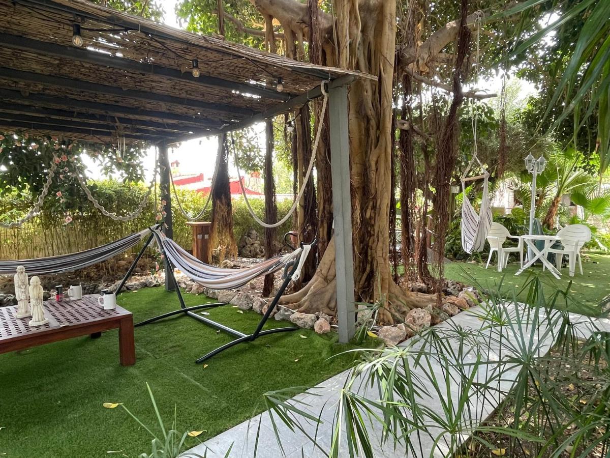 Suite Privada Frente A La Piscina Para 2 Personas Con Sofa Cama Para 2 Mas 4P No Es Casa Completa Сан-Висенте-дель-Распеч Экстерьер фото